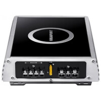 Автомобильный усилитель Blaupunkt GTA 270 SF