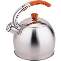 Чайник Teco TC-110