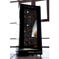 Винный шкаф Cellar Private CP021-2T