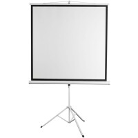 Экран для проектора Digis Kontur-D DSKD-4302