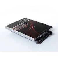 Настольная плита Zigmund & Shtain ZIP-555