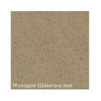 Дозатор Zigmund & Shtain ZS A002 молодое шампанское