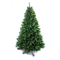 Ель Ели PENERI Мендоза 2.44 ( MDZ244)