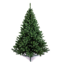 Ель Ели PENERI Дакота 1.5