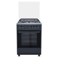 Газовая плита DeLuxe 606040.24г 004