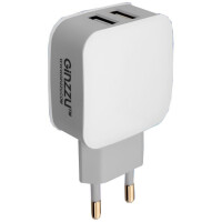 Сетевое зарядное устройство Ginzzu GA-3008W