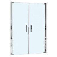 Душевая дверь WeltWasser WW600 600K2-120
