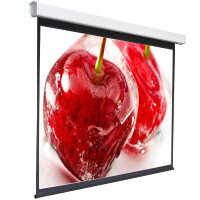 Экран для проектора Digis Electra-F DSEF-1108