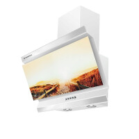 Стекло к вытяжке Maunfeld Berford 60 с декором "Мостки"