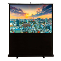 Экран для проектора Cactus FloorCompactExpert CS-PSFLCE-180X135