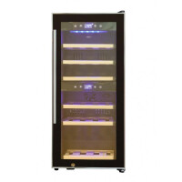 Винный шкаф Cold Vine C24-KBF2