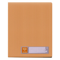 Папка Бюрократ Crystal (CR40OR)