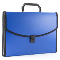 Папка Бюрократ BPP13LBLUE