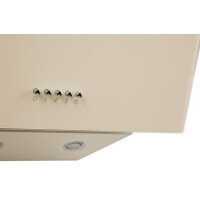 Каминная вытяжка Oasis NP-50I (FR)