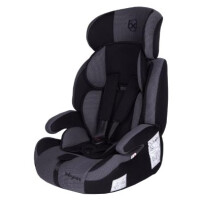 Автокресло Baby Care Legion Серый 1008/Черный