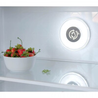 Холодильник Бирюса CD466BG