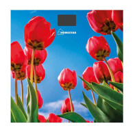 Весы напольные Homestar HS-6001I