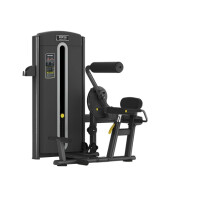 Разгибание спины Bronze Gym M05-009