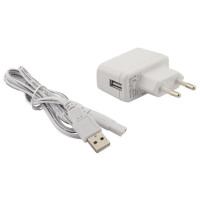 Ирригатор Revyline RL 200