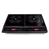 Настольная плита Ginzzu HCI-205