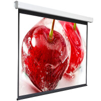 Экран для проектора Digis Electra-F DSEF-4305