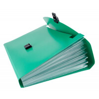 Папка Бюрократ BPP6GRN