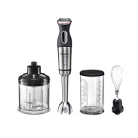 Блендер погружной Bosch MS 8CM6160