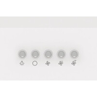 Встраиваемая вытяжка Gorenje WHU 529 EW/M