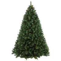 Ель Ели PENERI Мендоза 2.13 ( MDZ213)