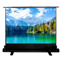 Экран для проектора Cactus FloorExpert CS-PSFLE-160X90
