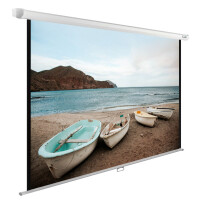 Экран для проектора Cactus WallExpert CS-PSWE-220X138-WT