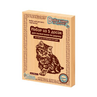 Набор для выжигания Десятое королевство Без рисунка (01731)