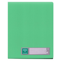 Папка Бюрократ Crystal (CR60GRN)