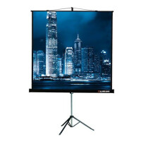 Экран для проектора Lumien Master View LMV-100109