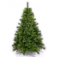 Ель Ели PENERI Мендоза 1.22 ( MDZ122)