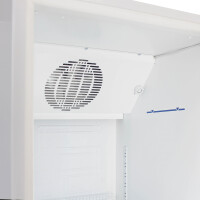 Холодильная витрина Бирюса B 600