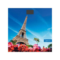 Весы напольные Homestar HS-6001K