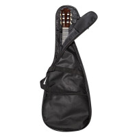 Чехол для гитары Flight FBG-6055