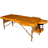 Массажный стол DFC Nirvana Relax TS20111 горчичный