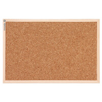 Демонстрационная доска Rocada 6100