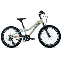 Велосипед Forward Twister 20 1.0 AL серый/оранжевый 2022 г 10" RBK22FW20042