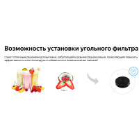 Каминная вытяжка Weissgauff Irida BL