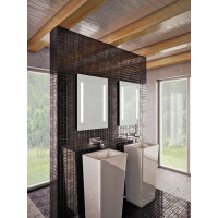 Зеркало Dubiel Vitrum Lustro Bono с подсветкой 70x80