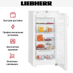 Морозильная камера Liebherr GNP 1956