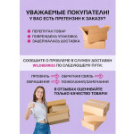 Мини-печь Великие реки Воронеж-1