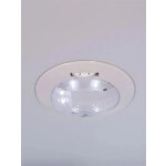 Встраиваемый холодильник Ascoli ADRF229BI