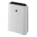 Очиститель воздуха Sharp KC-D41RW