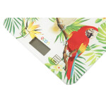 Весы кухонные Econ ECO-BS112K