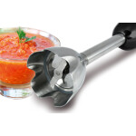 Блендер погружной Zigmund & Shtain BH-340M