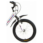 Велосипед Top Gear 20 Mystic белый калейдоскоп ВНМ20202